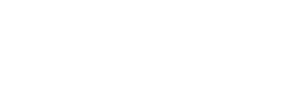 北大青鸟